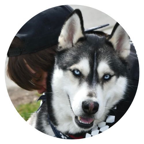 Trico Dr Anna Maria Wolf review