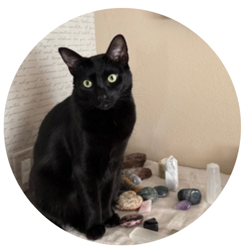 Kathleen & Cole Review