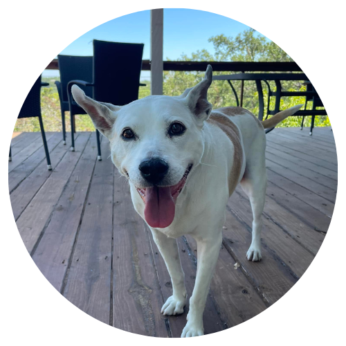 Brandon Havener & Katie Bug Review