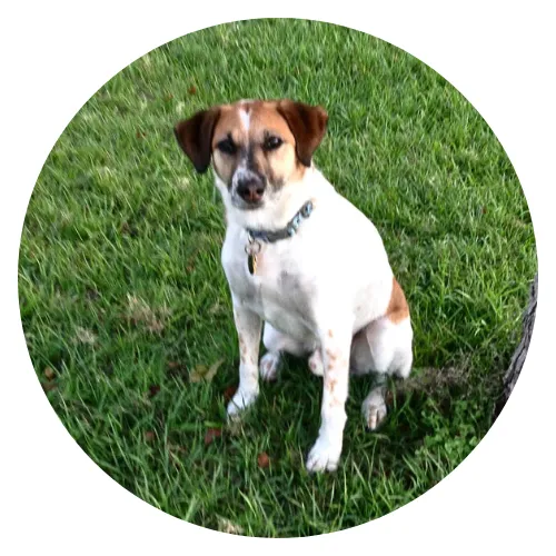 Cindy Barajas & Owen review