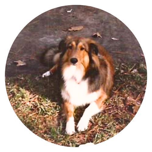 Max Linda Sweeton review