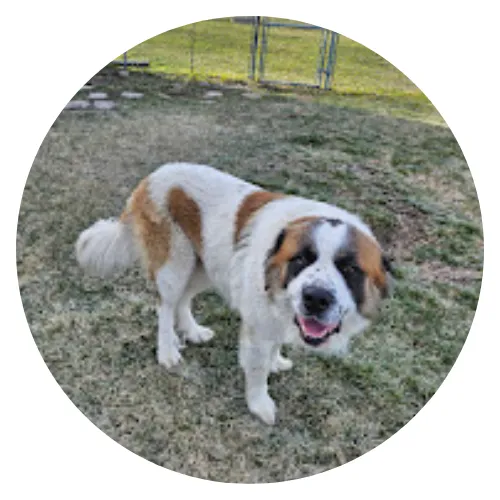 Becky Neitzel Jax review