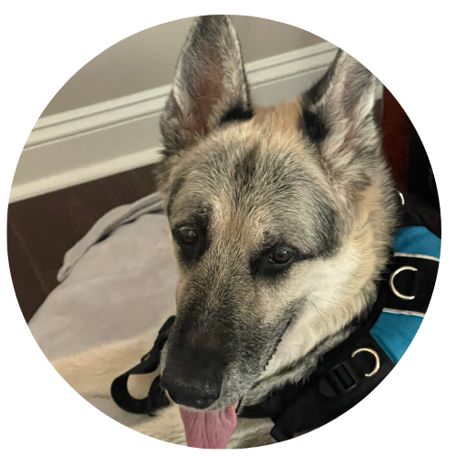 Alison Wooster & Teyla Review