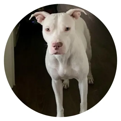 Candice Hazlett Jensen & Vanna review