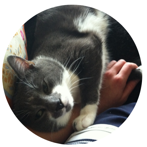 Firouzeh Nikpour-Naini & Doudi Review