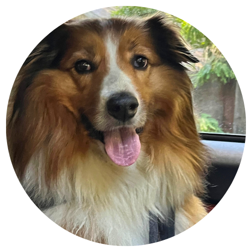 Dyane Harwood and Lucy Review