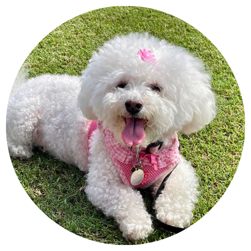 Jane Saull & Pearl Review