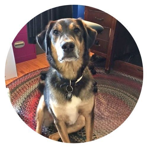 Griffin SylvieK review