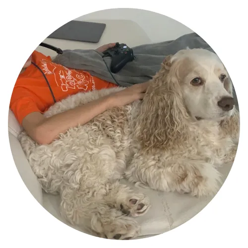 Ingrid Groh and Romeo Review