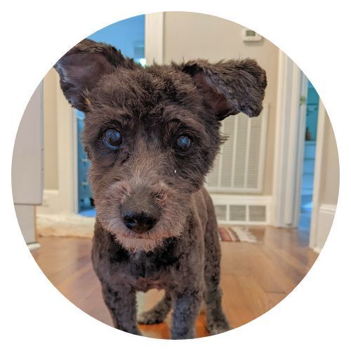 Casi Elisa Edmonson review