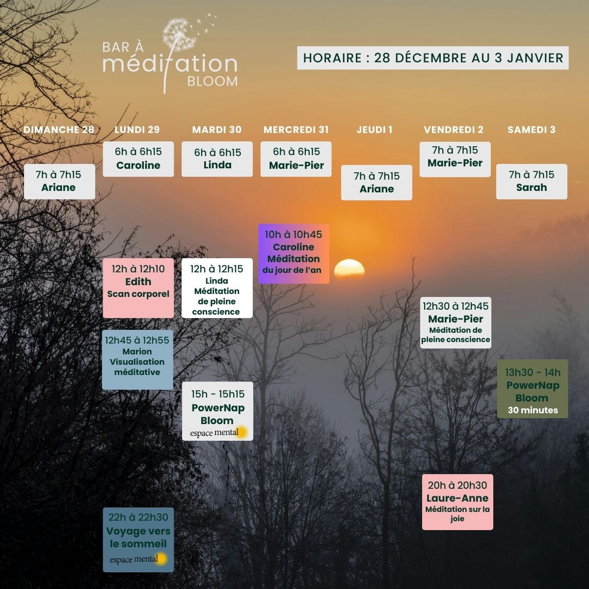 Horaire Bar à Méditation Bloom