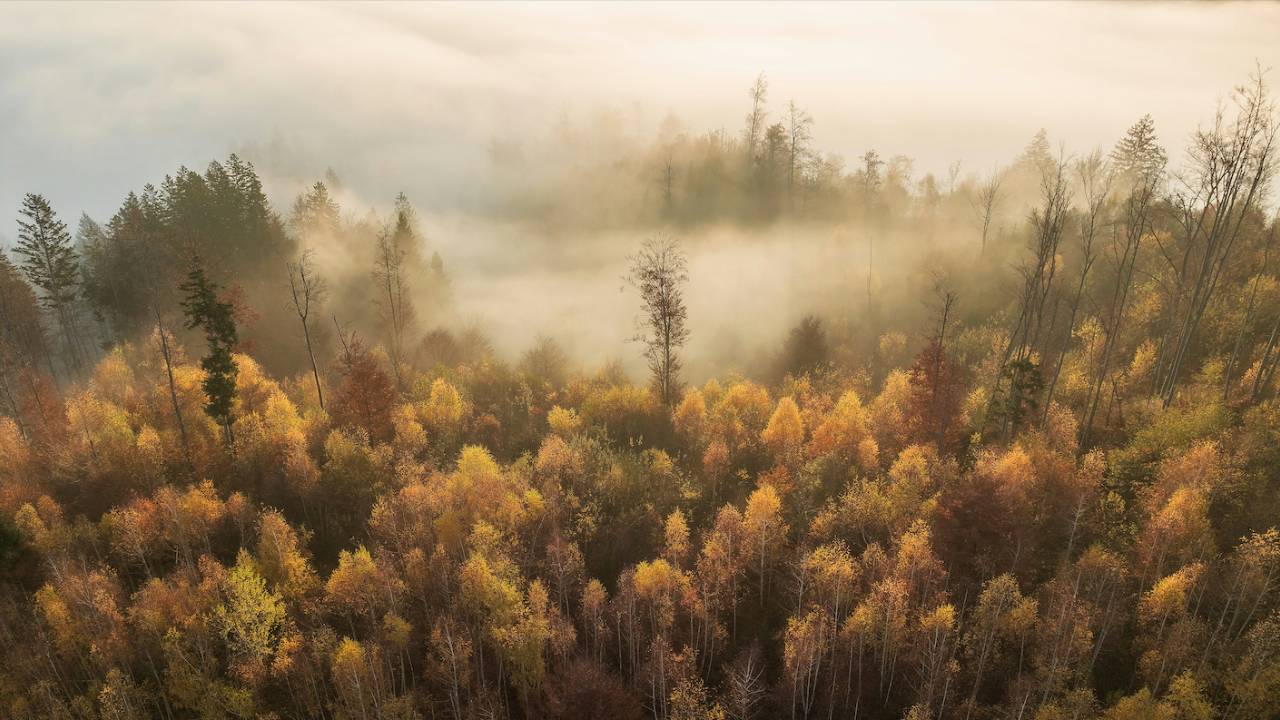 bar a meditation Bloom pause bien-être