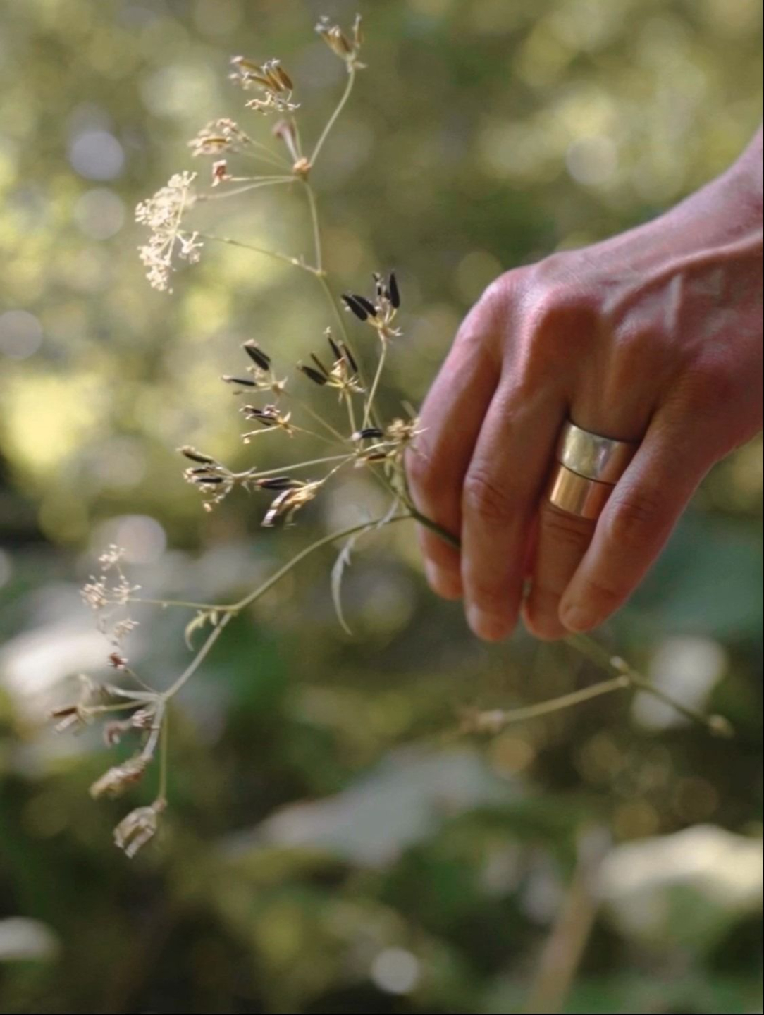 opleiding tot uitvaartbegeleider begrafenisondernemer