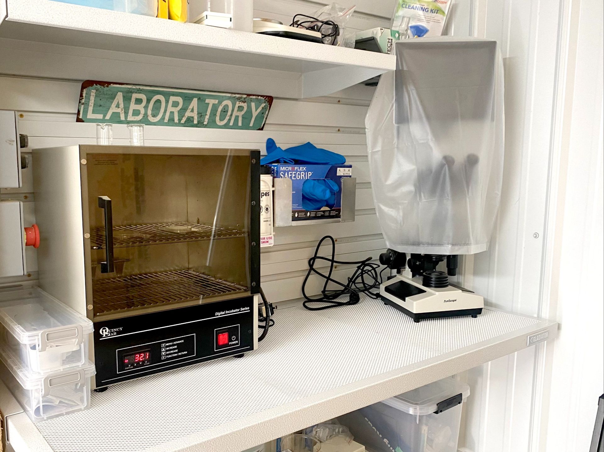 On-farm milk testing setup at Mountain Heritage Farm showing incubator and petri dishes.