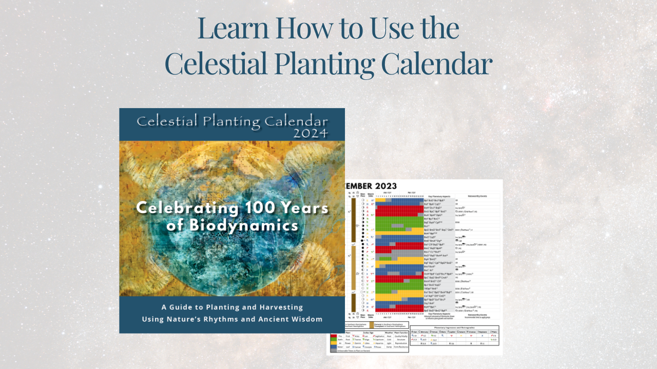 Guide to Planting & Harvesting Using Nature's Rhythms & Ancient Wisdom