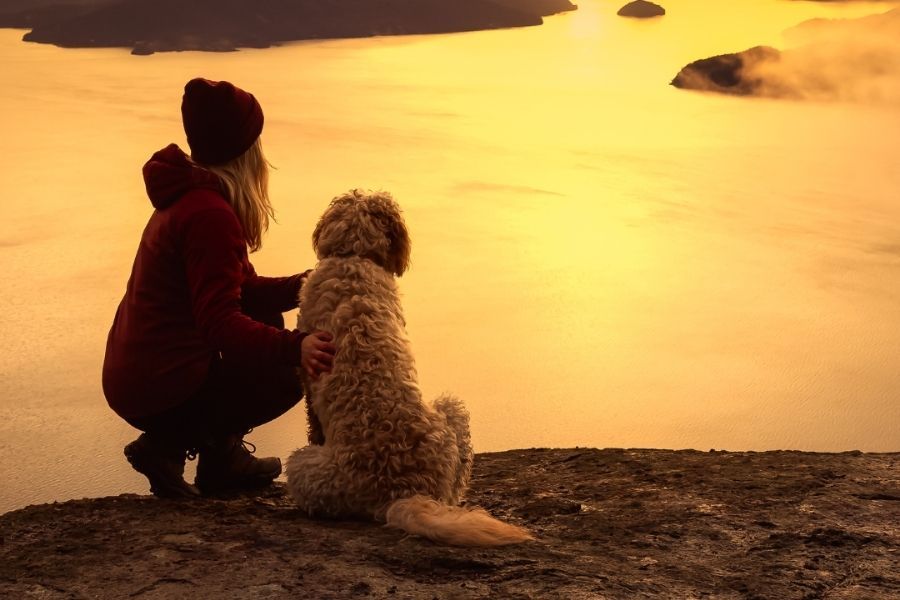 woman and dog watching sunset