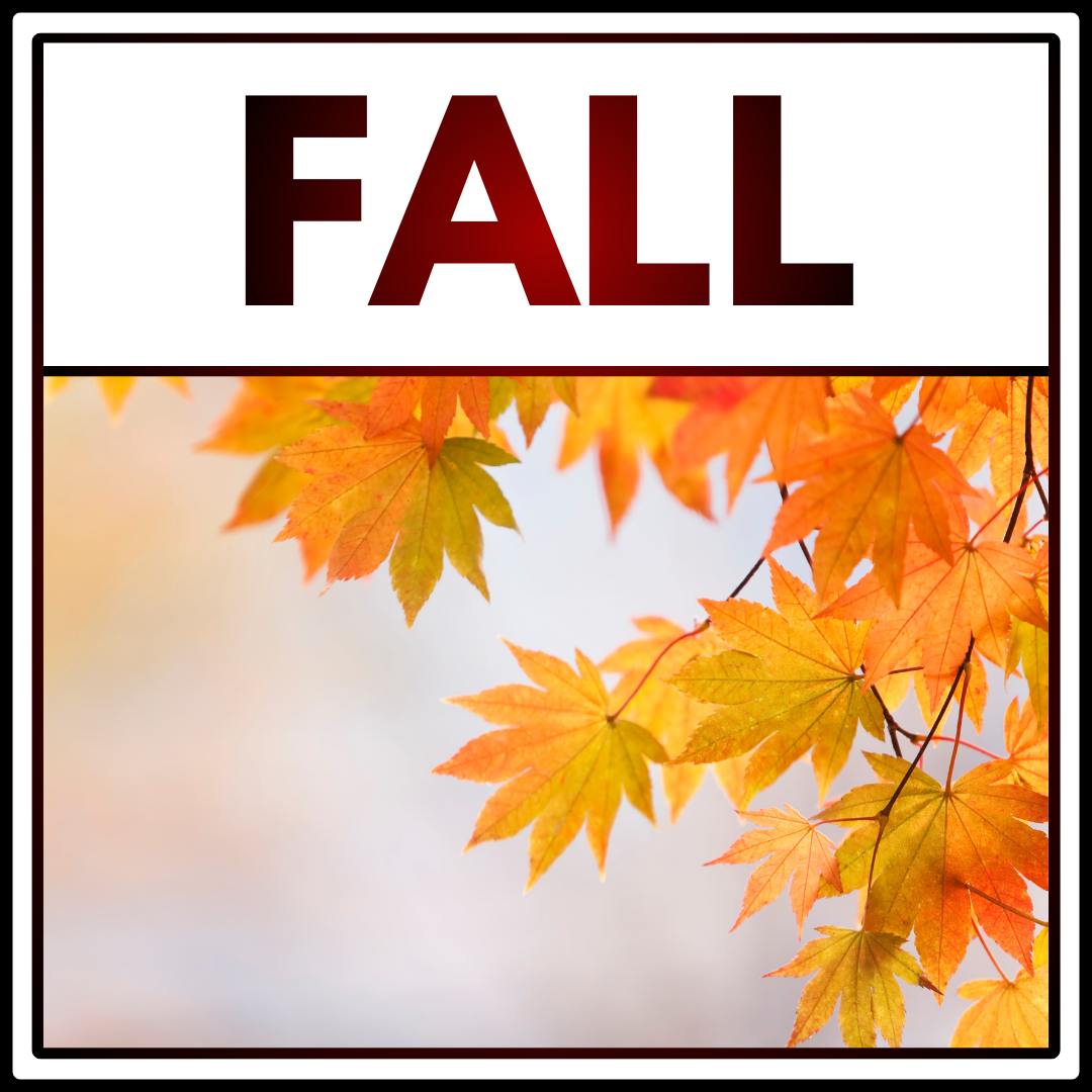 fall