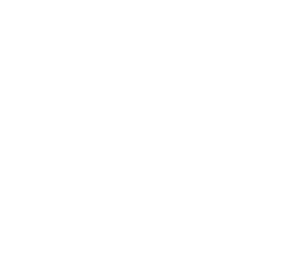 Emily Flood Logo