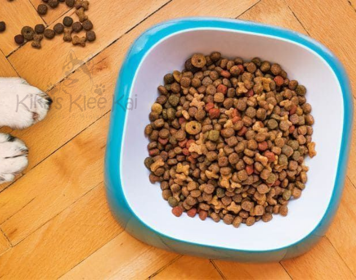 Alaskan Klee Kai puppy in Southern California nutrition plan