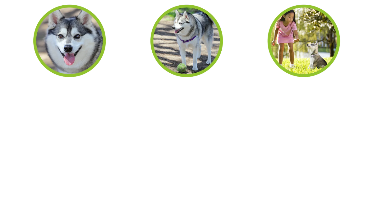 Tips for Separation Anxiety