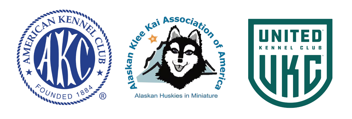 American Kennel Club AKC recognized dog breeder logo