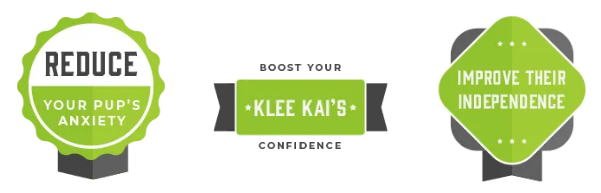 Separation Anxiety Tips For Your Alaskan Klee Kai