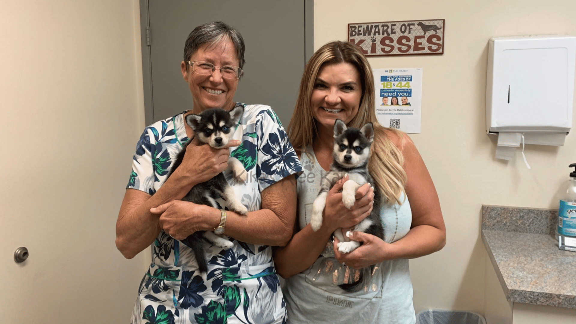 Vet Care and Health Management of Alaskan Klee Kai in Southern California