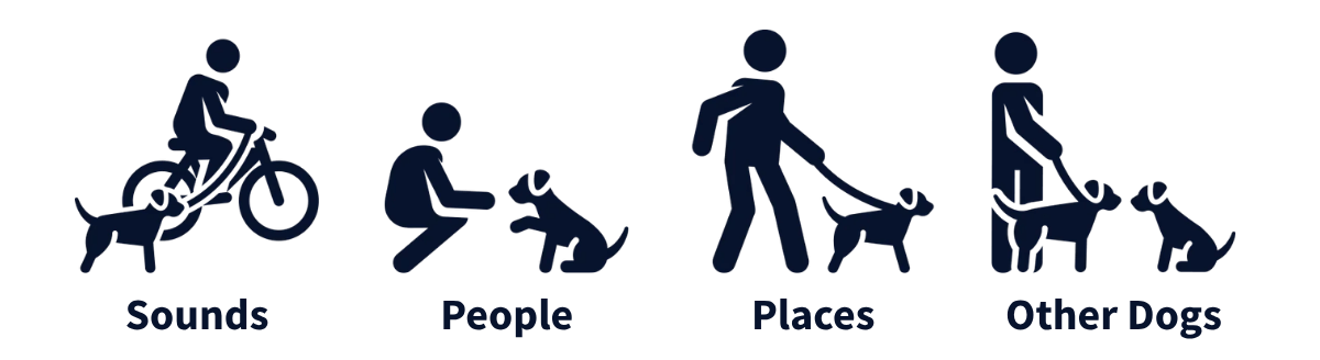 Different types of Socialization
