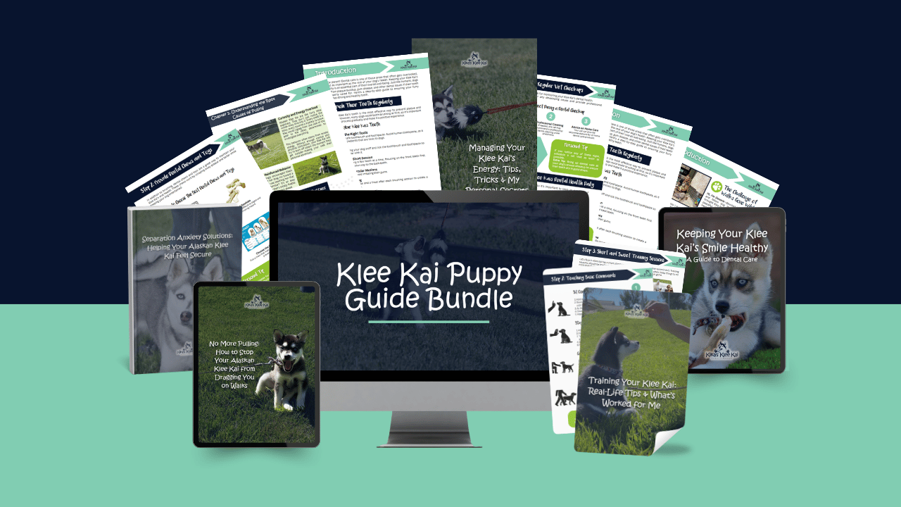 Downloadable Guides for Alaskan Klee Kai