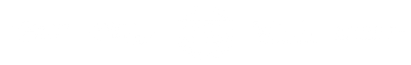 Greatness Factor, Master Practitioner Energy Leadership Index, iPEC Certified Professional Coach, PMI Project Management Institute, National Association of Professional Women