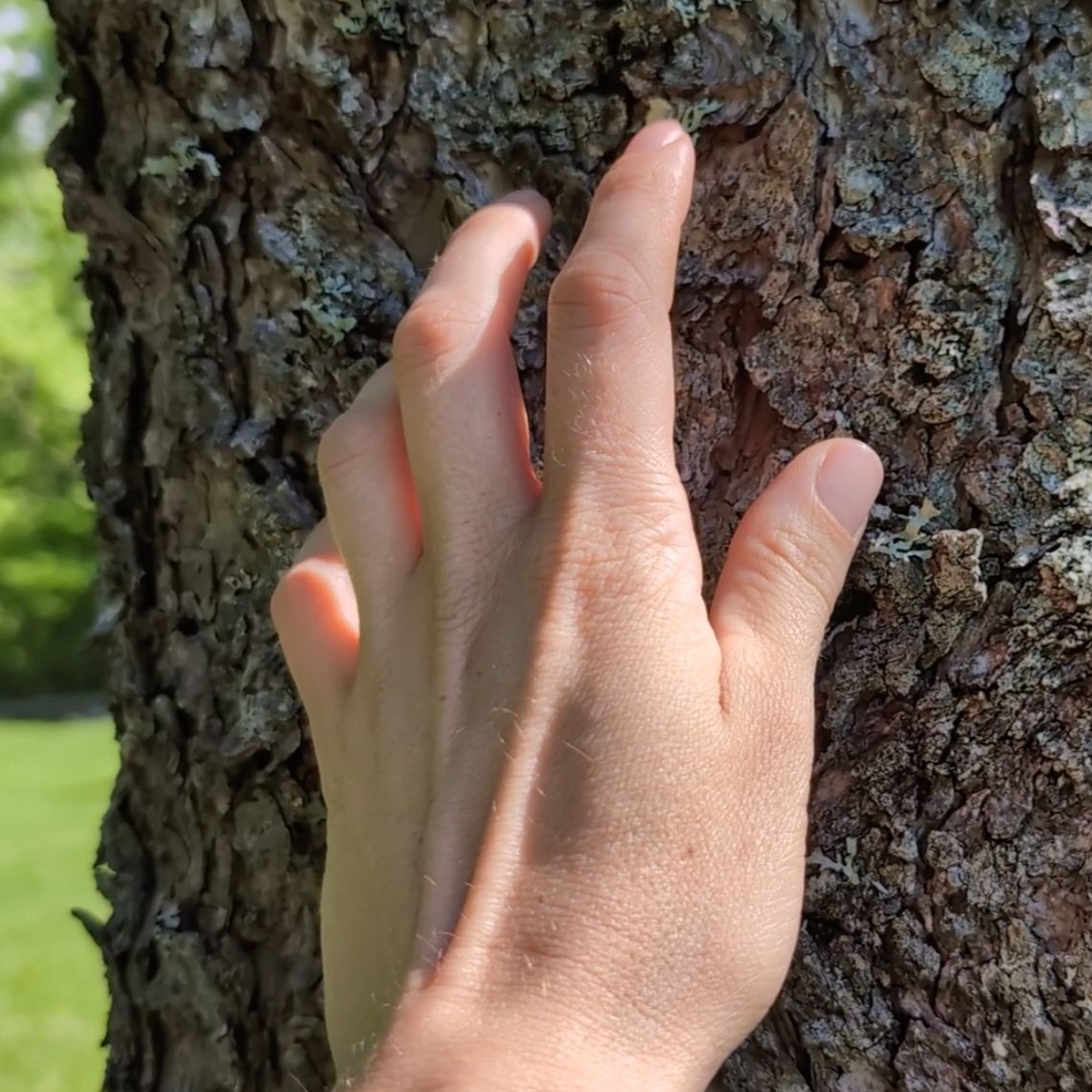 Kristine Karpinski (Kris) Executive Director Ninth Wave Arts