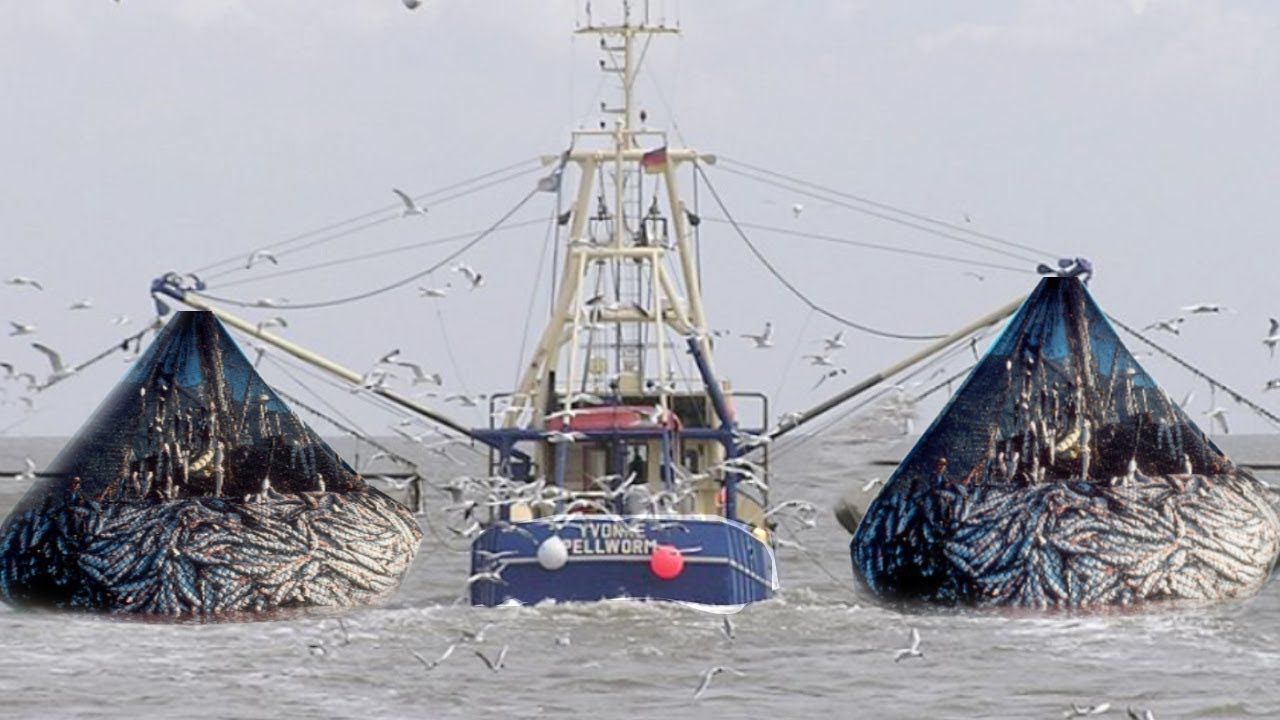commercial fishng