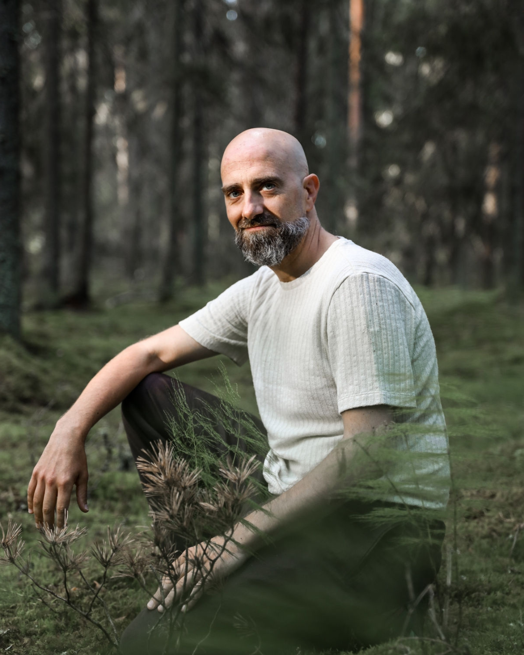 Entrenador de constelaciones familiares sentado en la rama de un árbol.