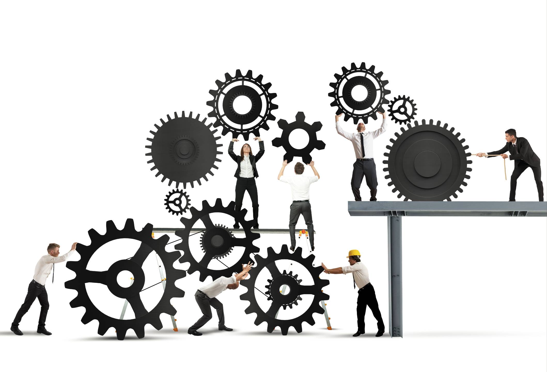 Fractional operations leadership — optimizing processes and scaling with confidence | DillonMarcus