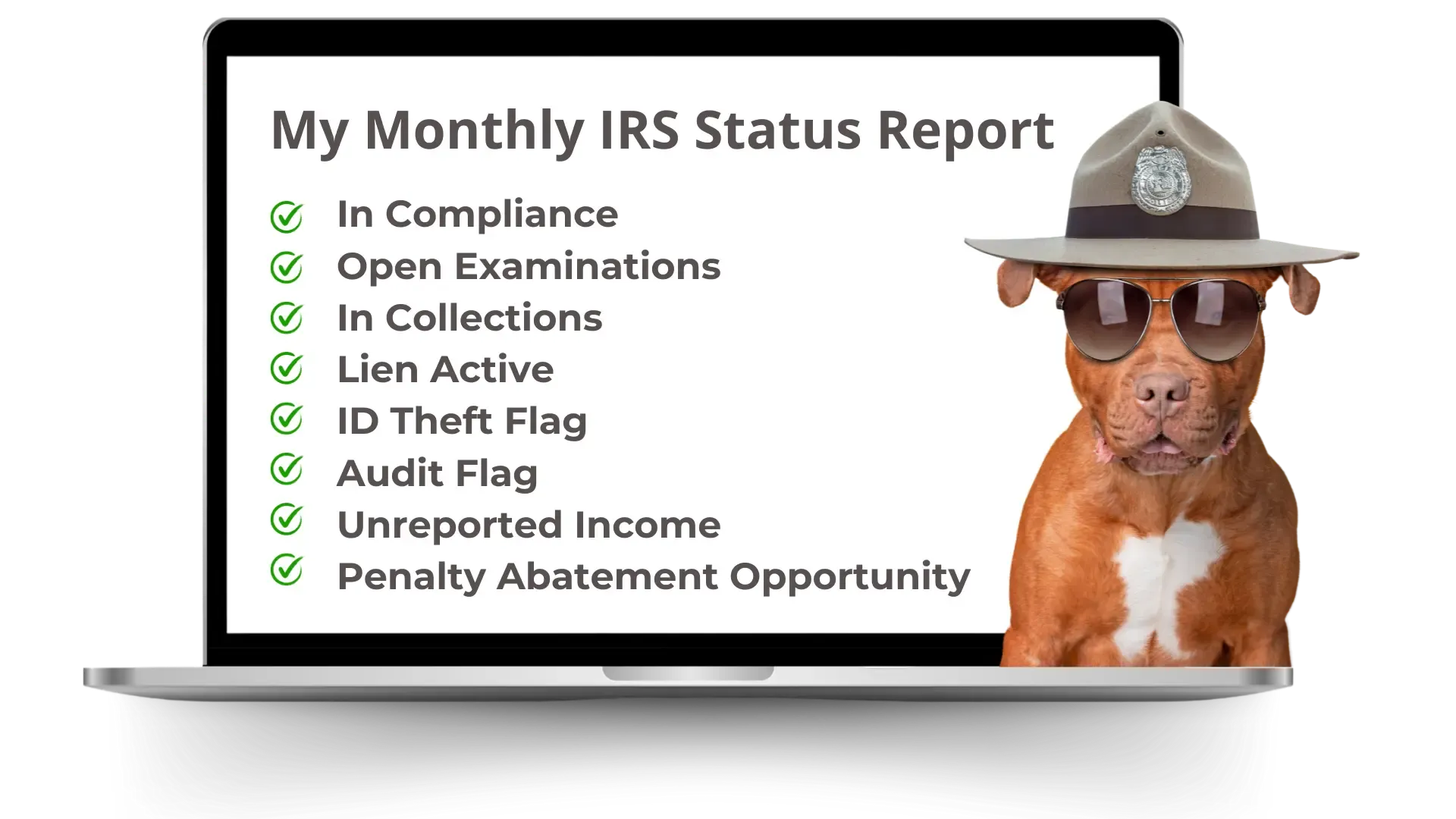 The picture showcases a laptop screen with a checklist named "My Monthly IRS Status Report," where items like "In Compliance," "Open Examinations," and "Audit Flag" are marked with green ticks. Positioned in front of this display is a humorously altered image of a dog donning a detective's hat and sunglasses, presenting an air of solemnity while whimsically underscoring the importance of keeping track of one's tax affairs.