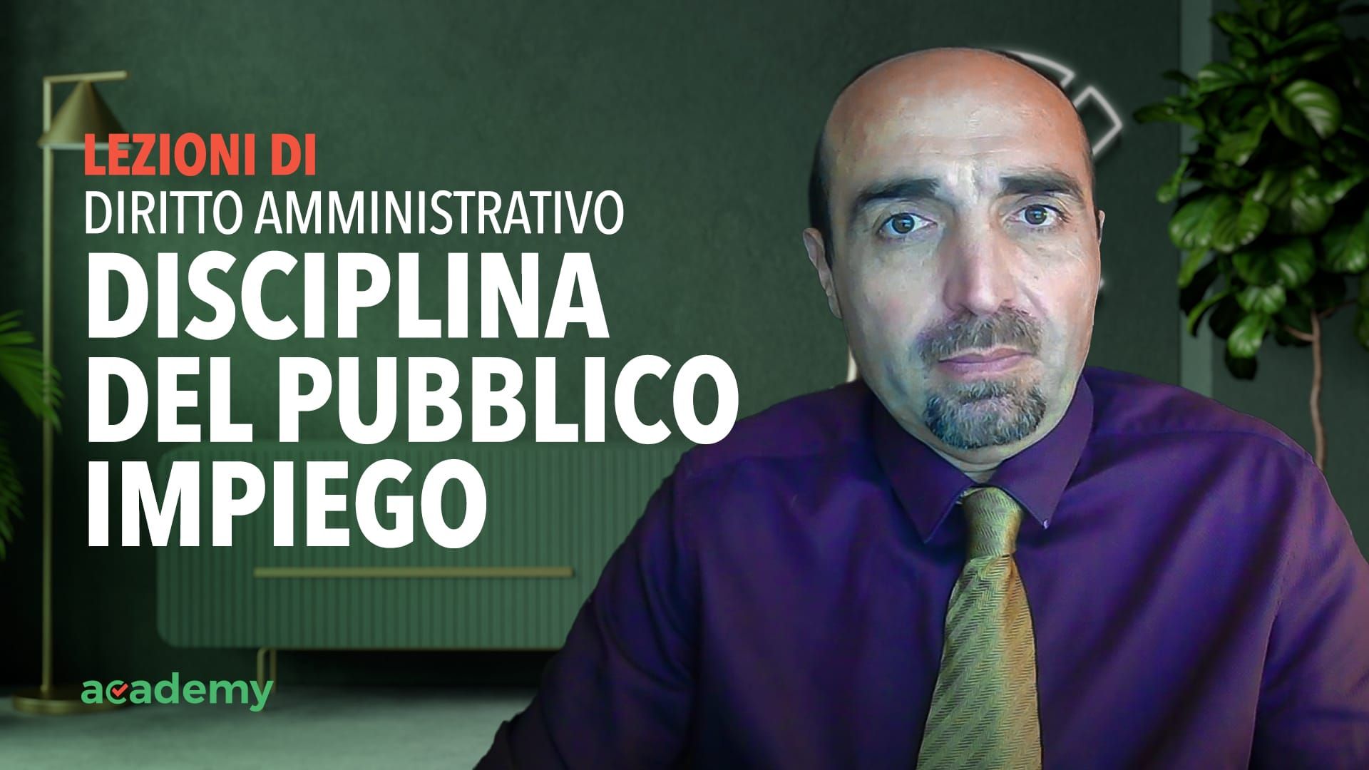 Disciplina del Pubblico Impiego per Concorsi Pubblici