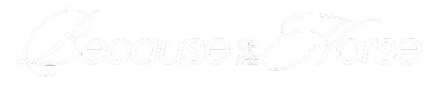 Art Of The Horseman logo