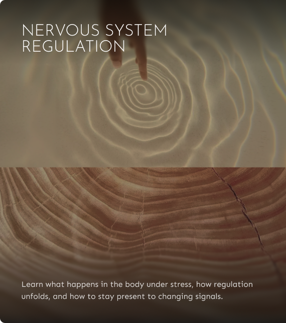Nervous System Regulation