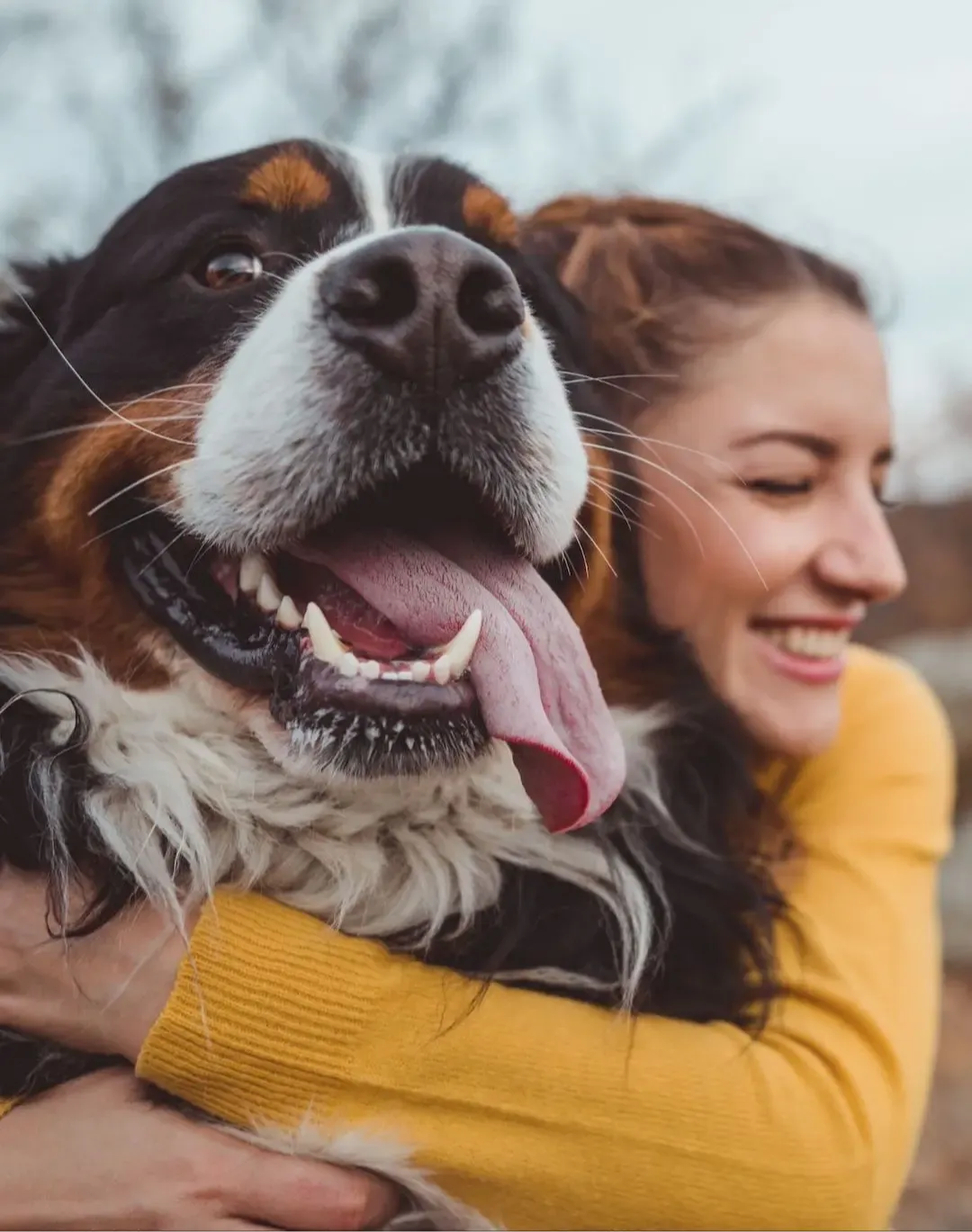 animal communication animal communicator pet psychic woman in yellow top hugging dog