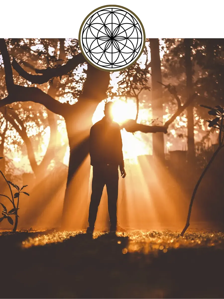 intuitive coaching past life regression ascension coaching man walking through trees in sunlight