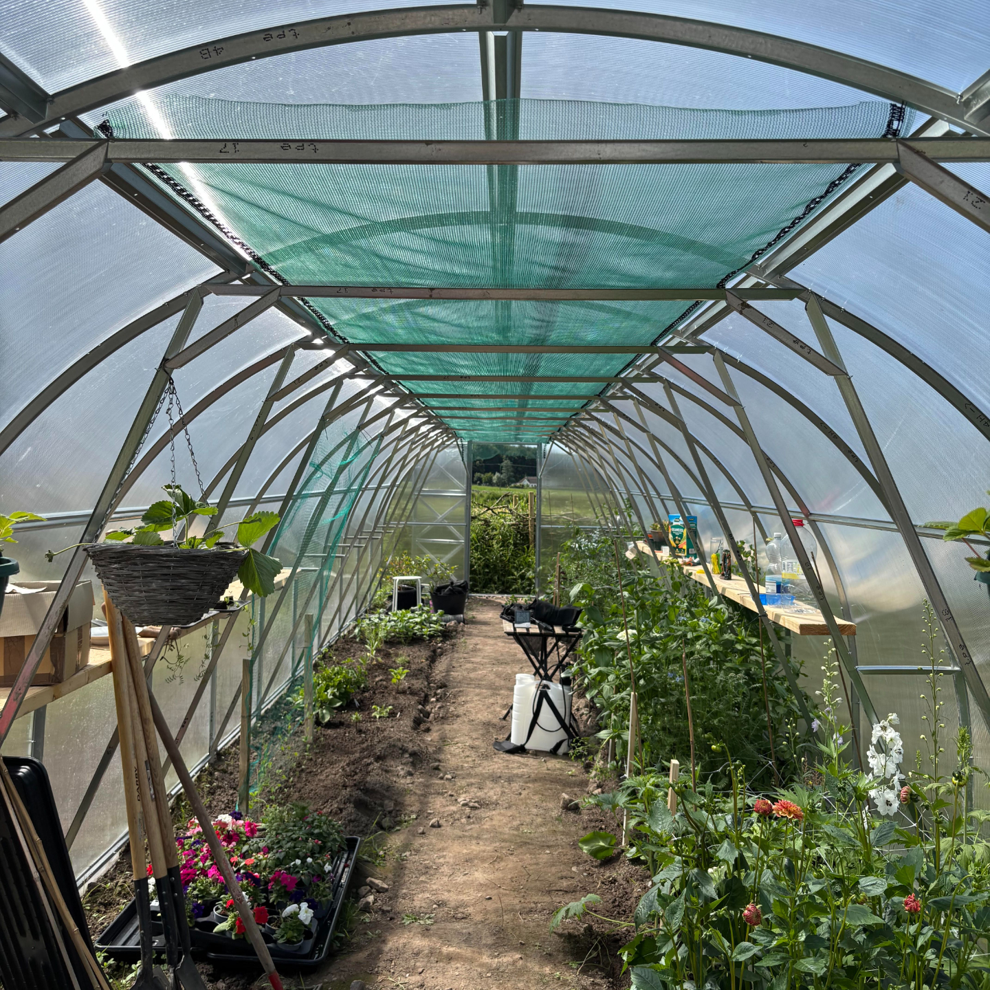 The Floral Design Hub Galway, Wedding flower specialist, wedding floral pillars