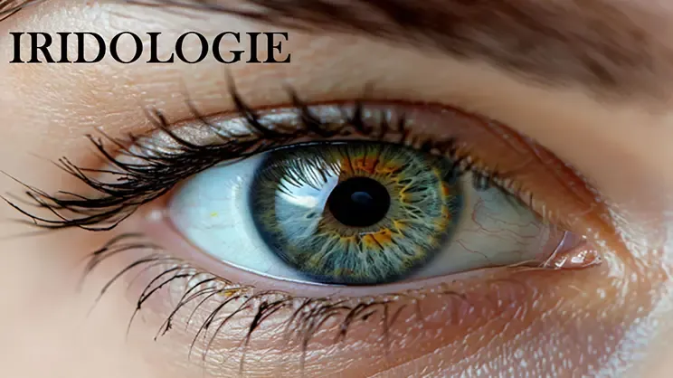 Lecture en iridologie en naturopathie pour un compréhension élargie au Centre Cosmique à Shefford