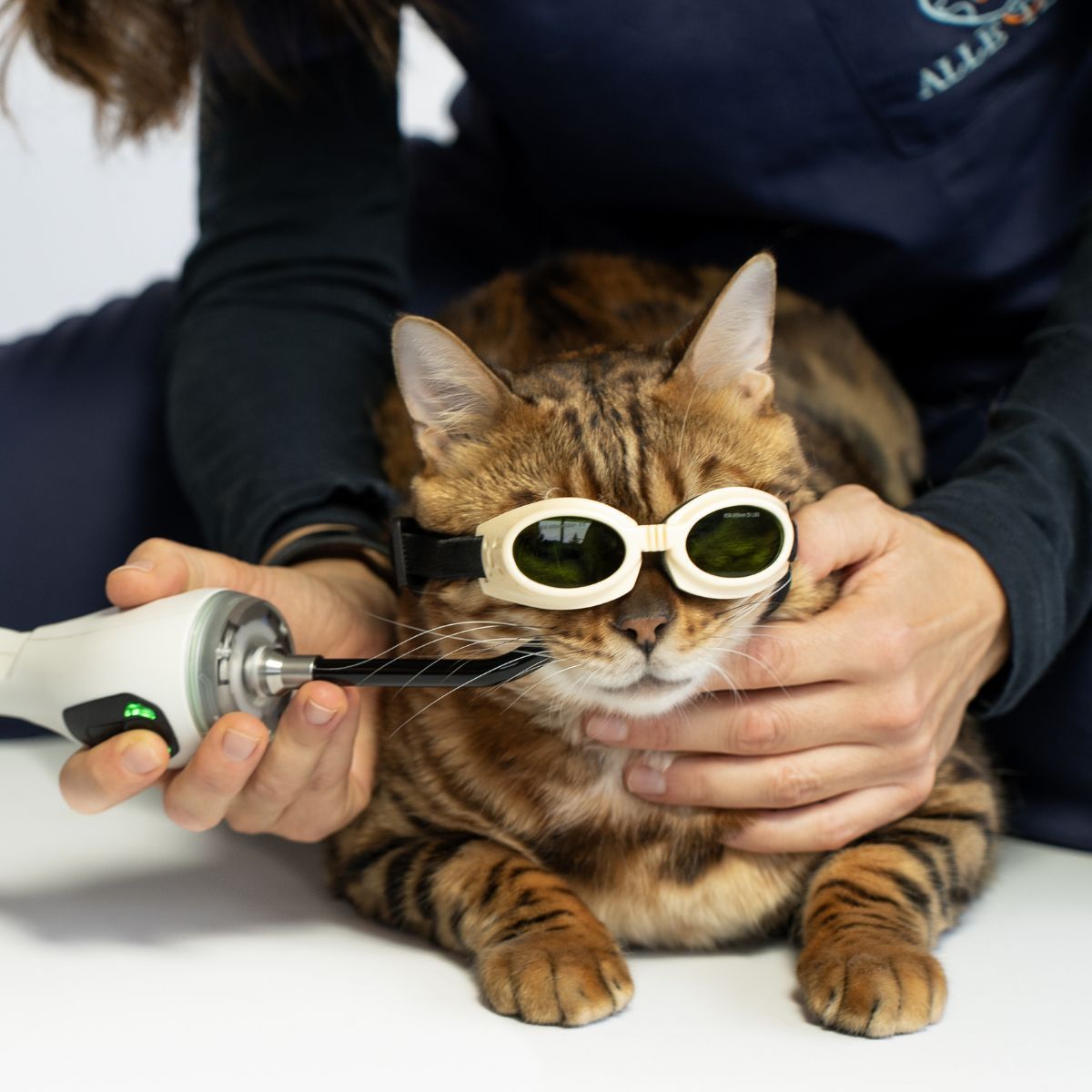 Laserpuntura con laser M-VET