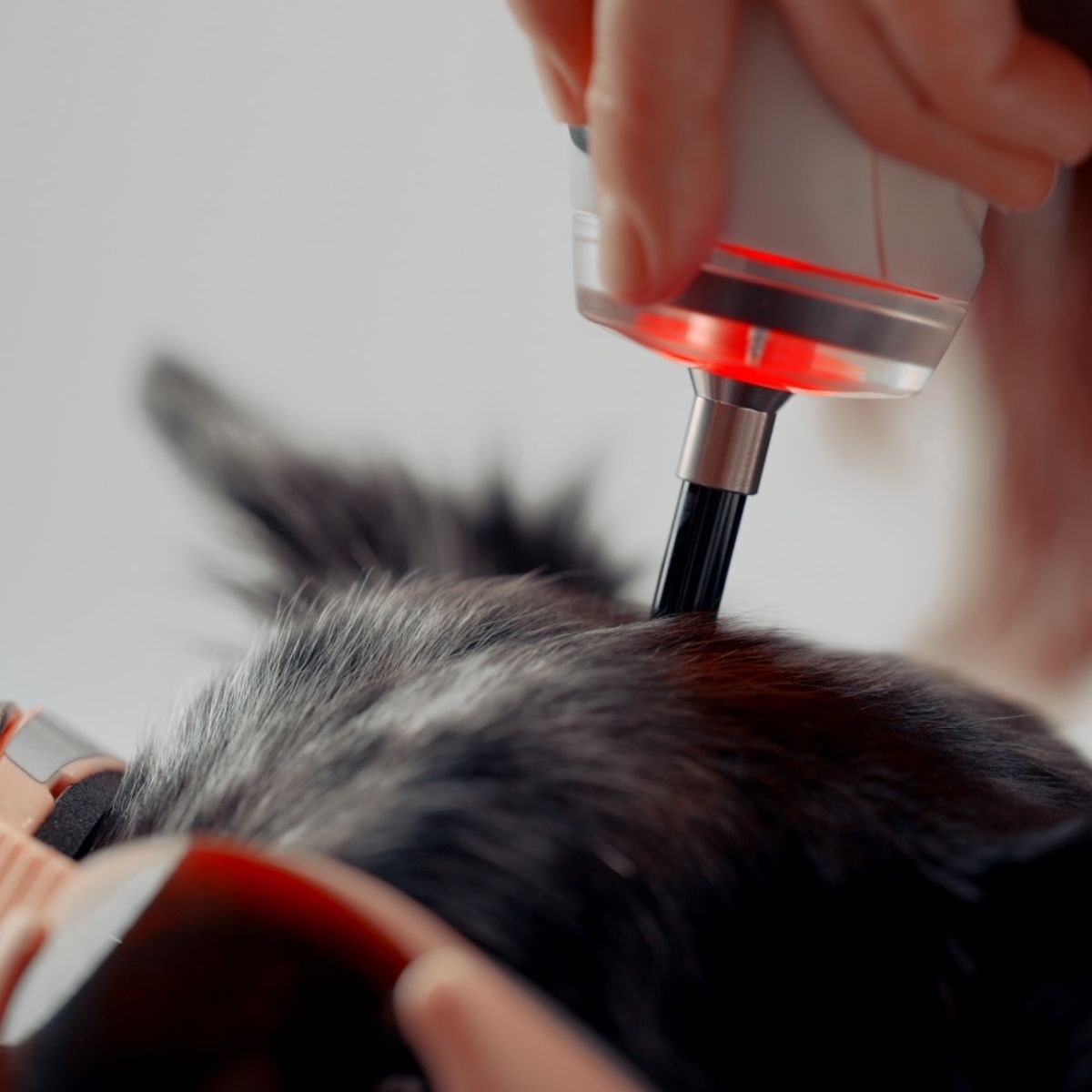 Laserpuntura con laser M-VET