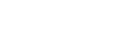 Wealth Agent Institute