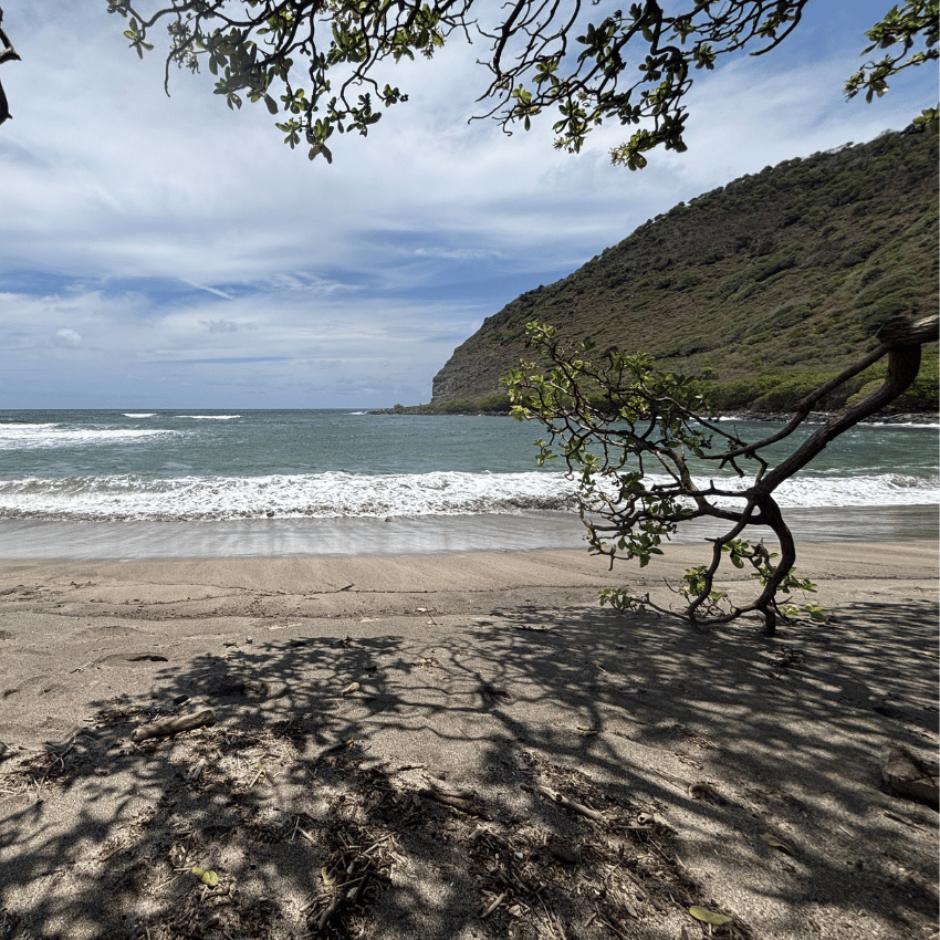 Fitting the lei poʻo for the hula performance
