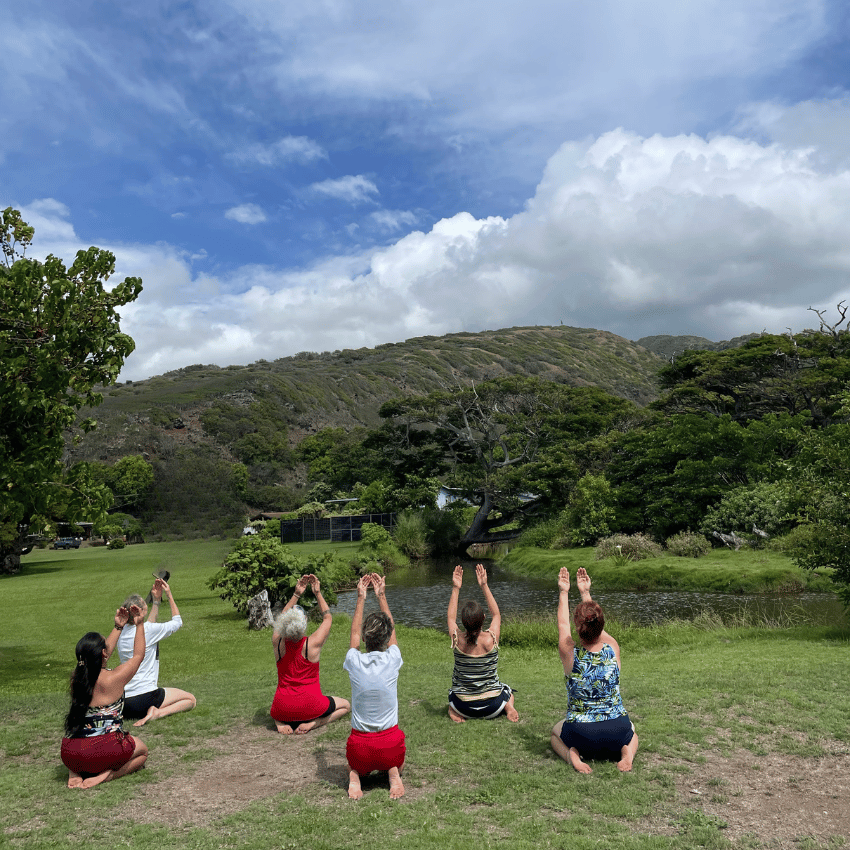Hula dancing, Hula performance