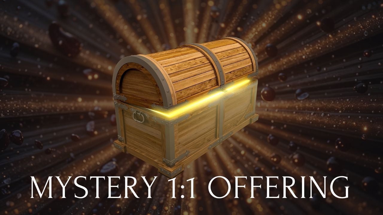 mystery mentorship activations with jj