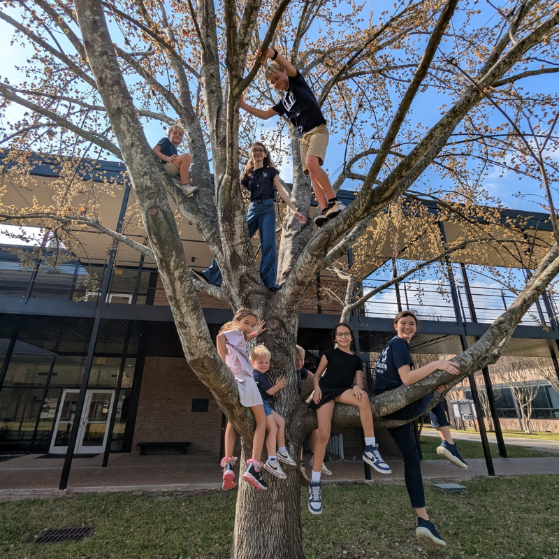Enrichments