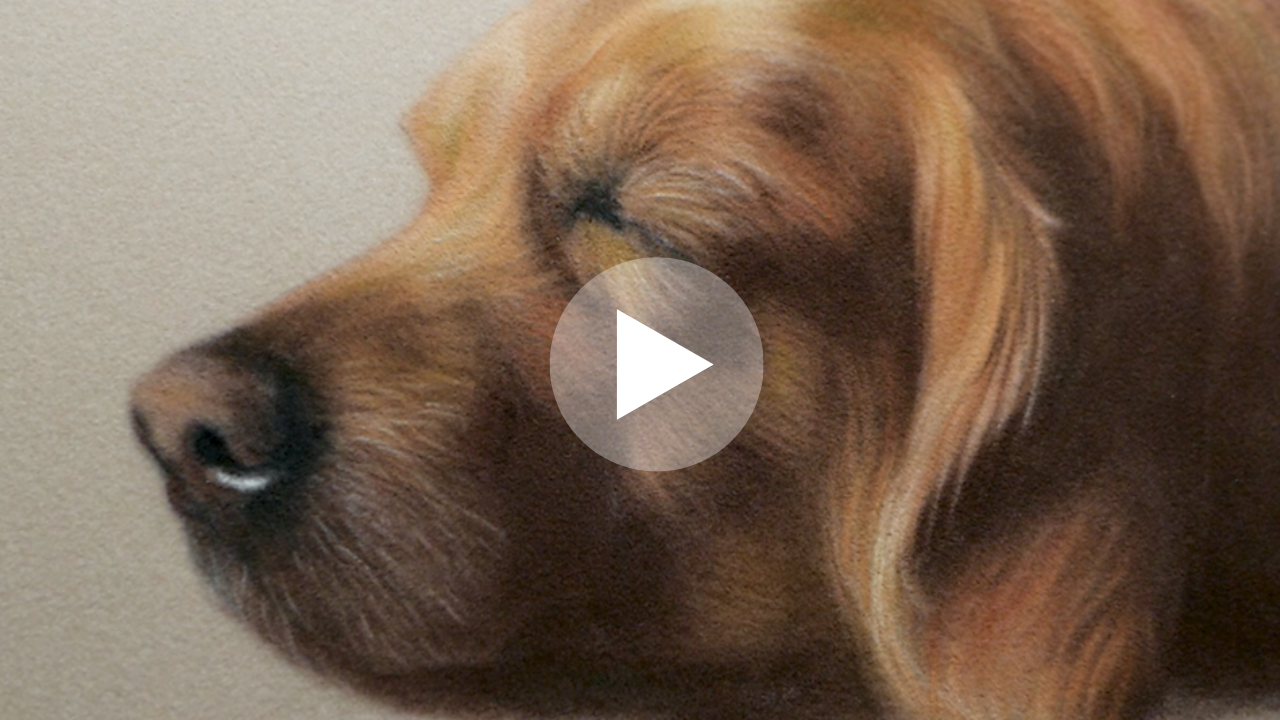 Video Poster Image